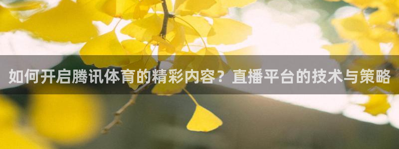 如何开启腾讯体育的精彩内容？直播平台的技术与策略
