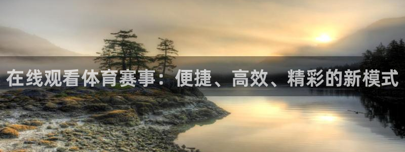 在线观看体育赛事：便捷、高效、精彩的新模式