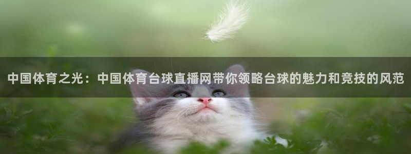 中国体育之光：中国体育台球直播网带你领略台球的魅力和竞技的风范