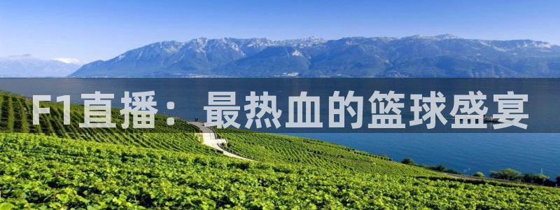 F1直播：最热血的篮球盛宴