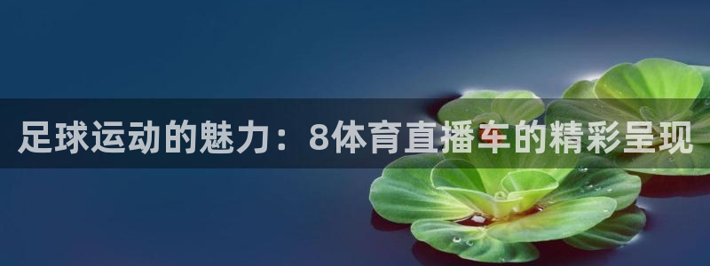 足球运动的魅力：8体育直播车的精彩呈现