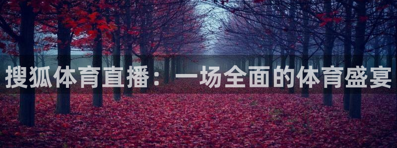 搜狐体育直播：一场全面的体育盛宴