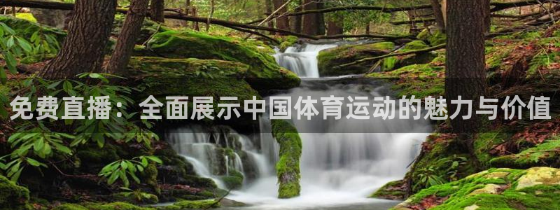 免费直播：全面展示中国体育运动的魅力与价值