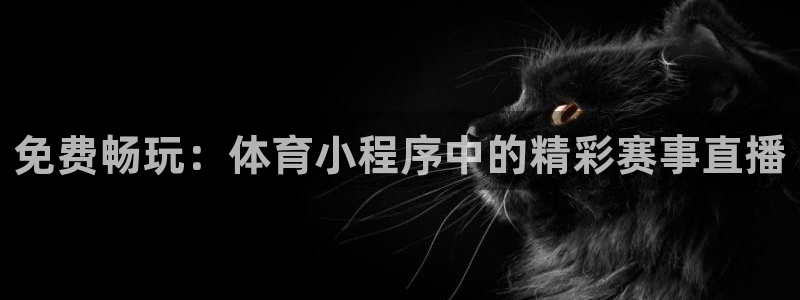 免费畅玩：体育小程序中的精彩赛事直播