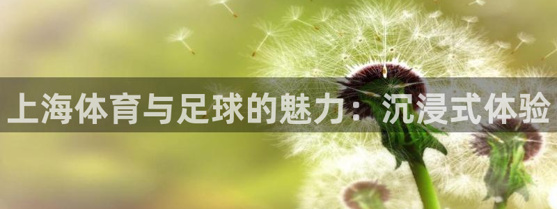 上海体育与足球的魅力：沉浸式体验