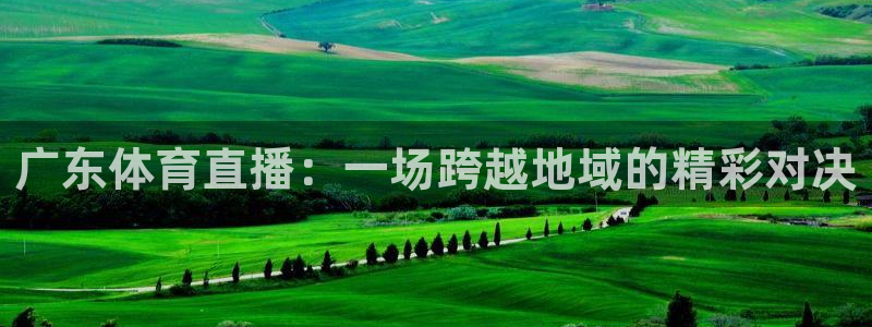 广东体育直播：一场跨越地域的精彩对决