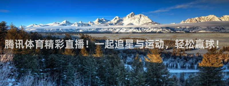 腾讯体育精彩直播！一起追星与运动，轻松赢球！