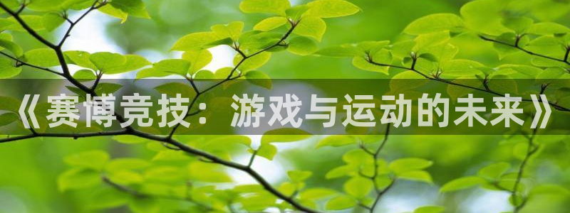 《赛博竞技：游戏与运动的未来》