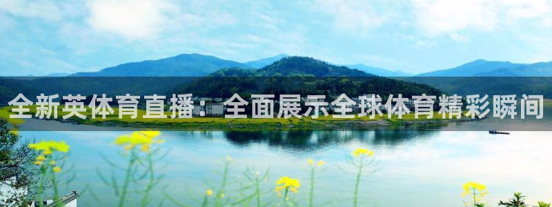 全新英体育直播：全面展示全球体育精彩瞬间