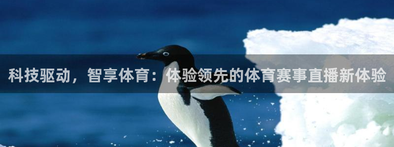 科技驱动，智享体育：体验领先的体育赛事直播新体验