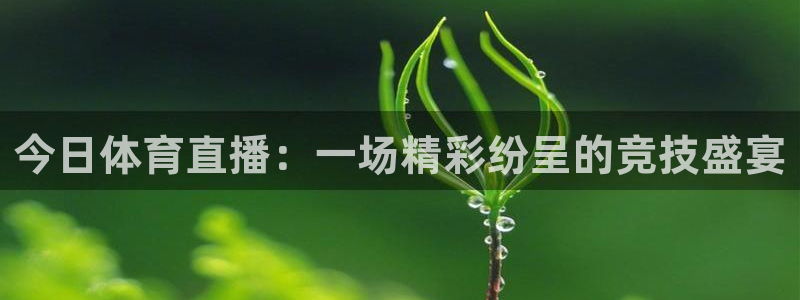 今日体育直播：一场精彩纷呈的竞技盛宴