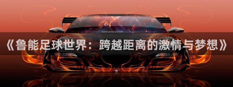 《鲁能足球世界：跨越距离的激情与梦想》