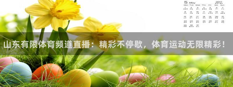 山东有限体育频道直播：精彩不停歇，体育运动无限精彩！