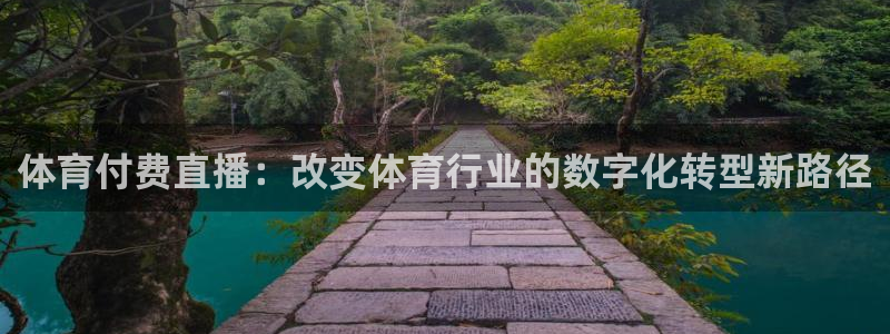 体育付费直播：改变体育行业的数字化转型新路径