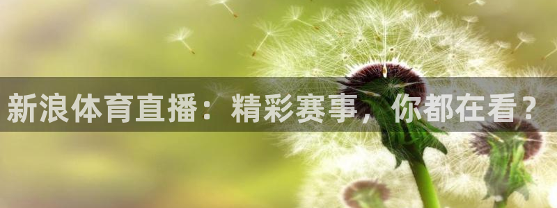新浪体育直播：精彩赛事，你都在看？