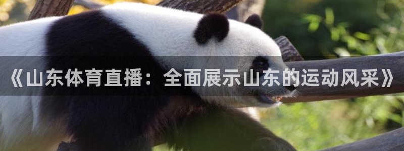 《山东体育直播：全面展示山东的运动风采》