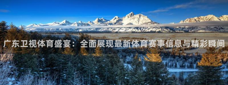 广东卫视体育盛宴：全面展现最新体育赛事信息与精彩瞬间
