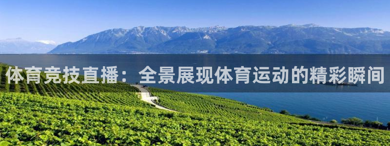 体育竞技直播：全景展现体育运动的精彩瞬间