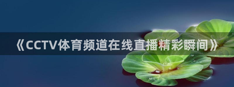 《CCTV体育频道在线直播精彩瞬间》