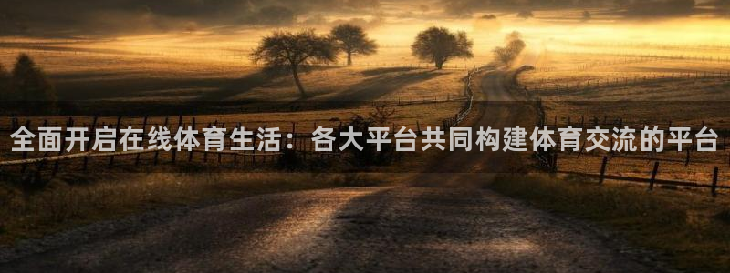 全面开启在线体育生活：各大平台共同构建体育交流的平台