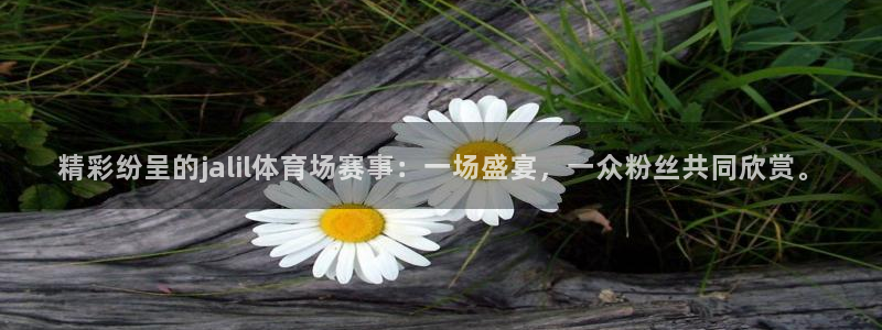 精彩纷呈的jalil体育场赛事：一场盛宴，一众粉丝共同欣赏。