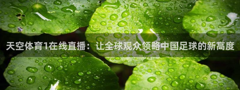 天空体育1在线直播：让全球观众领略中国足球的新高度