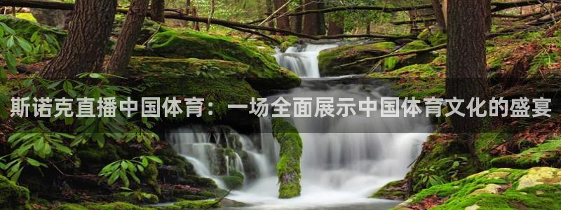斯诺克直播中国体育：一场全面展示中国体育文化的盛宴