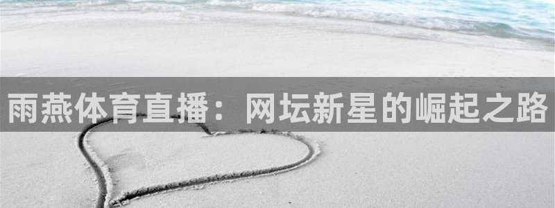 雨燕体育直播：网坛新星的崛起之路
