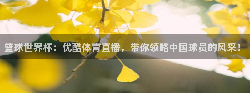 篮球世界杯：优酷体育直播，带你领略中国球员的风采！