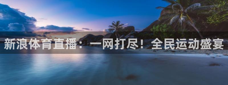 新浪体育直播：一网打尽！全民运动盛宴