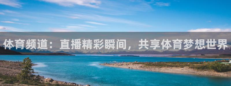 体育频道：直播精彩瞬间，共享体育梦想世界
