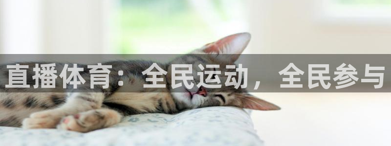 直播体育：全民运动，全民参与