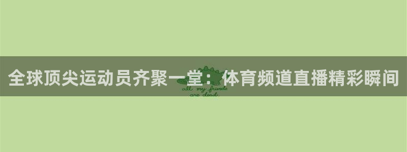 全球顶尖运动员齐聚一堂：体育频道直播精彩瞬间