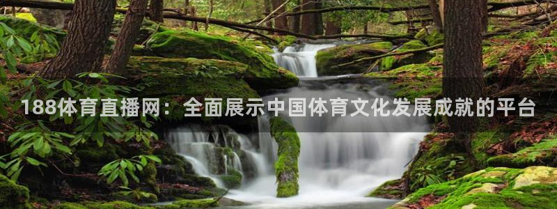 188体育直播网：全面展示中国体育文化发展成就的平台