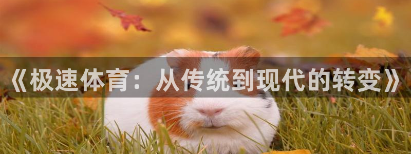 《极速体育：从传统到现代的转变》