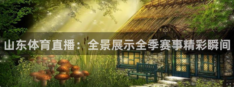 山东体育直播：全景展示全季赛事精彩瞬间
